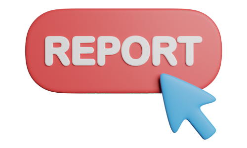 REPORT IMAGE